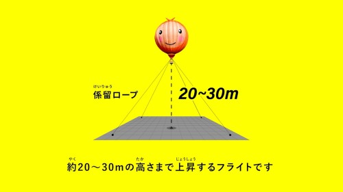 北海道バルーンフェスティバル組織委員会